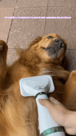 Cepillo Secador de pelo para Mascotas 2 en 1